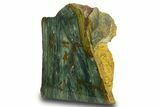 Free-Standing, Gary Green Jasper (Larsonite) Bog Wood - Oregon #334728-2